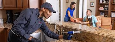 Best Residential Pest Control  in Mledgevle, IL